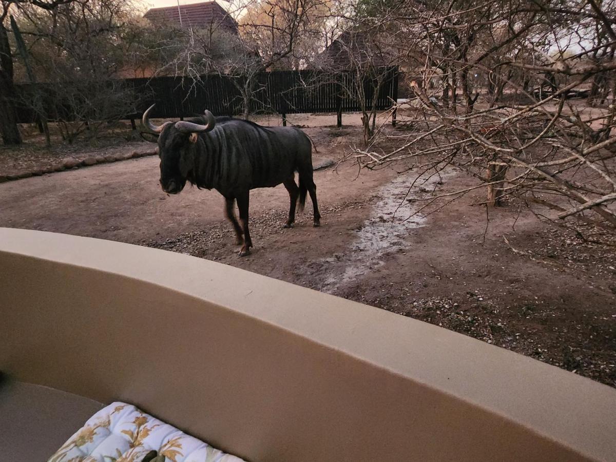 Kudus Crest Bush Retreat Apartman Marloth Park Kültér fotó