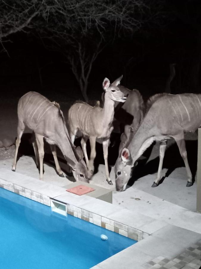 Kudus Crest Bush Retreat Apartman Marloth Park Kültér fotó